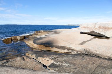 Peggy 'nin Cove köyündeki aşınmış kayalık kıyı şeridi (Nova Scotia, Kanada).