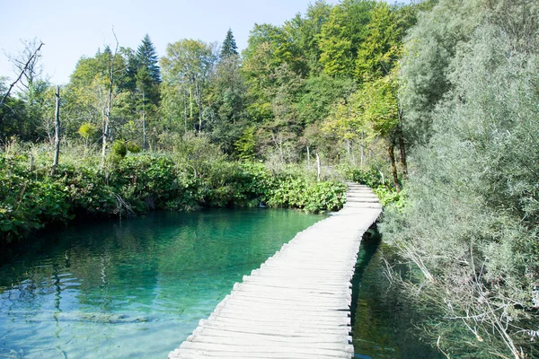 Morning View Wooden Path Tourists Plitvice Lakes National Park Croatia — Stock Photo, Image