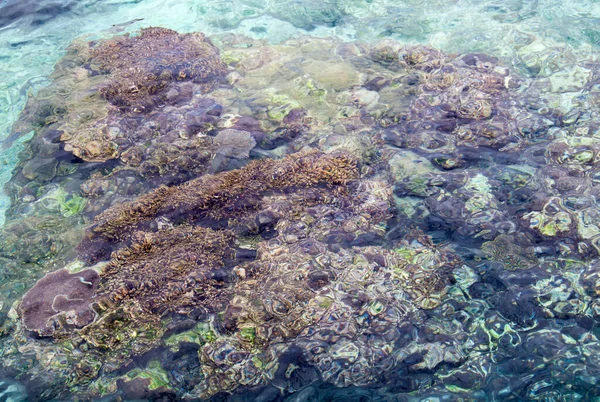 Mare岛Tadine村海滩透明水域的抽象视图 新喀里多尼亚 — 图库照片