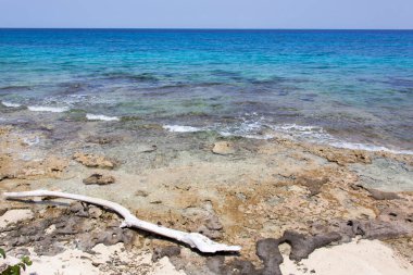 Cozumel Adası 'ndaki kayalık plajı yıkayan bir dalganın manzarası.).