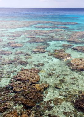 Lifou adası sahilindeki Easo köyündeki saydam sularda şnorkelle yüzme aktivitesi (Yeni Kaledonya).