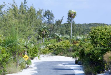 Half Moon Cay turist adasındaki (Bahamalar) trafik işaretli yol.).