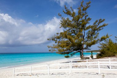 Half Moon Cay 'de at yolunu gösteren ahşap raylı boş bir plaj manzarası (Bahamalar)).