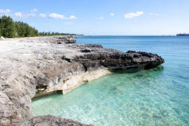 Şeffaf suların manzarası ve Grand Bahama adasındaki kayalık plajlar..