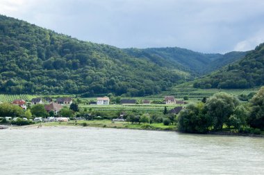 Wachau bölgesindeki Tuna Nehri kıyısındaki Durnstein kasabasından manzara (Avusturya)).