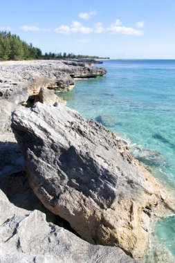 Büyük Bahama adasında dağılmış büyük bir kayanın manzarası..