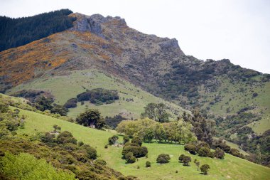 Akaroa tatil köyünü çevreleyen yeşil dağların manzarası (Yeni Zelanda)).