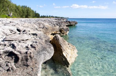 Büyük Bahama adası ve saydam Karayip Denizi sularındaki aşınmış kayalık kıyı manzarası.