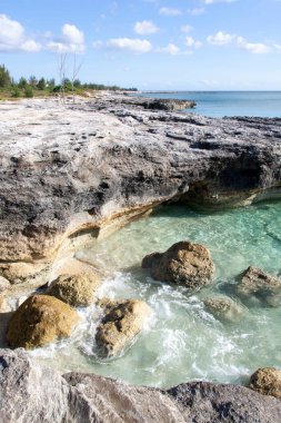Büyük Bahama Adası 'ndaki küçük kayalık bir sahil manzarası ve şeffaf sular..