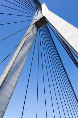 Sydney Anzac Köprüsü kulesi ve yayılan kabloların soyut görüntüsü (Yeni Güney Galler)). 