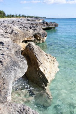 Büyük Bahama adasının manzarası yıkık dökük bir kayayla kıyı şeridini aşındırdı..
