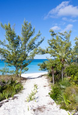 The sandy entrance to an empty beach on uninhabited Half Moon Cay island (Bahamas).
