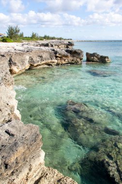 The scenic view of green color waters and eroded rocky coastline on Grand Bahama island.