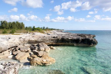 The scenic view of turquoise transparent waters and eroded rocky shore on Grand Bahamas island.