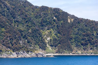 The scenic view of mountainous steep shore in Fiordland national park (New Zealand).
