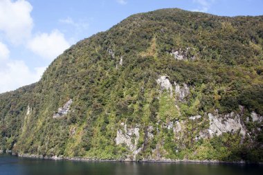 The scenic view of steep mountainous coastline in Fiordland national park (New Zealand).