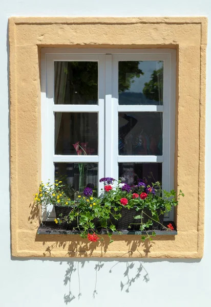 Der Abstrakte Blick Auf Ein Kleines Schaufenster Mit Bunten Blumen — Stockfoto