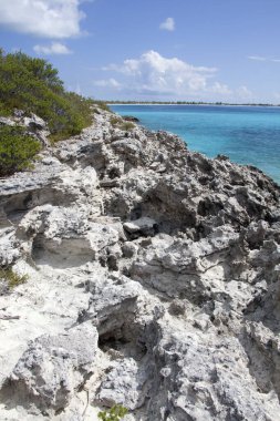 Half Moon Cay turizm adasının (Bahamalar) arka planında kumlu bir sahili olan aşınmış kayalık sahil manzarası).