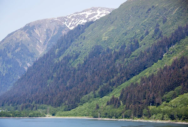 Der Malerische Blick Auf Mount Roberts Und Den Juneau Mountain — Stockfoto