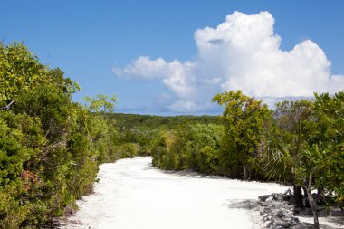 Issız Yarım Ay Cay adasındaki boş bir yolun manzarası ve arka planda bir bulut (Bahamalar)).