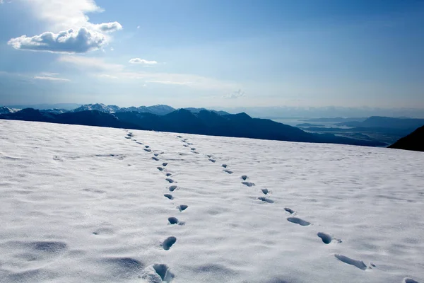 Der Späte Frühling Blick Auf Verschneite Landschaft Auf Mount Roberts — Stockfoto