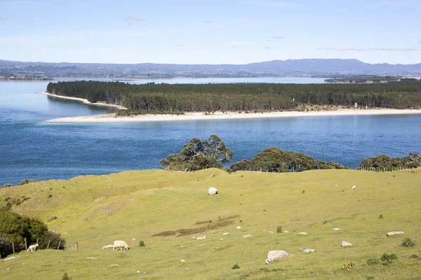 stock image The aerial view of Matakana island from Mount Maunganui resort town park (New Zealand).