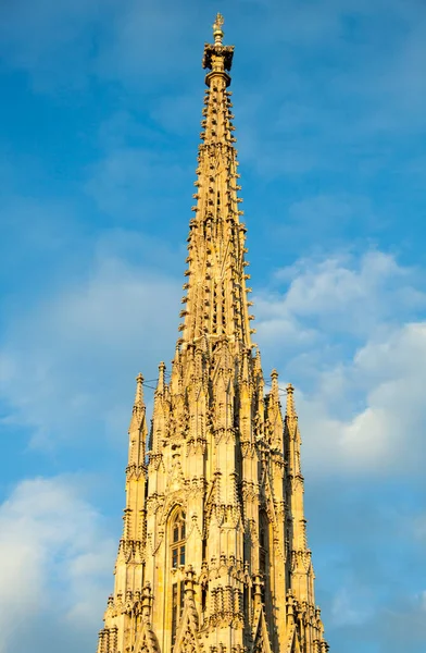 Widok Świetle Zachodzącego Słońca Wieku Wiedeńska Katedra Stefana 136 Metrów — Zdjęcie stockowe