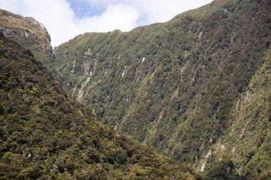 Fiordland Ulusal Parkı 'nda (Yeni Zelanda) sarp ağaçlarla çevrili bir vadinin manzarası.). 