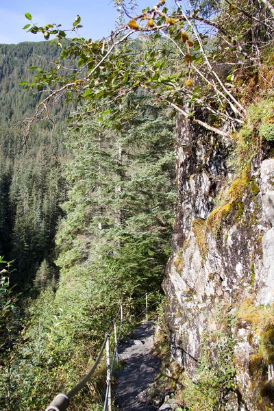 Het Schilderachtige Uitzicht Een Smal Pad Beschermd Door Rails Juneau — Stockfoto
