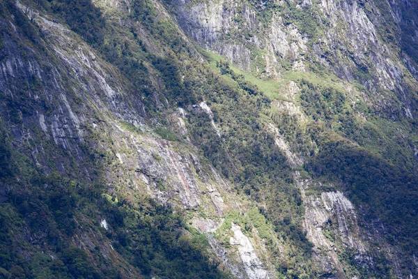 Die Abstrakte Ansicht Einer Steilen Felswand Eines Berges Fiordland Nationalpark — Stockfoto