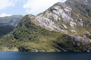 Fiordland Ulusal Parkı 'ndaki kayalık bir kıyı şeridinin manzarası (Yeni Zelanda)).