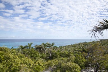 Half Moon Cay 'in en yüksek noktasından manzara ıssız bir ada (Bahamalar)).