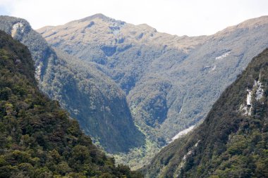 Fiordland Ulusal Parkı 'nda (Yeni Zelanda) sarp dağlarla çevrili yeşil bir vadinin manzarası).