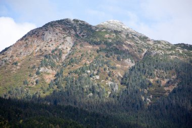 Skagway kasabasındaki kahverengi renkli bir dağın sonbahar manzarası (Alaska).