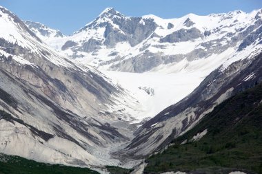 Buzul Körfezi Ulusal Parkı 'ndaki (Alaska) hala karlı vadinin ve dik yüksek dağların bahar manzarası).