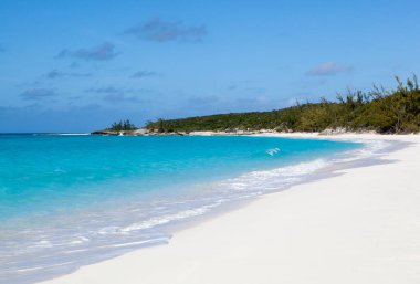 Half Moon Cay üzerinde boş bir sahil ve turkuaz renkli deniz manzarası (Bahamalar)). 