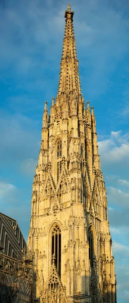 Pionowy Widok Katedrę Stefana 136 Metrów Wysokości Średniowiecznej Południowej Wieży — Zdjęcie stockowe