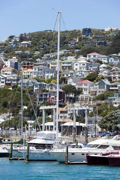Kilátás Vitorlás Hajók Kikötőben Egy Domb Lakóházak Wellington Város Zéland — Stock Fotó