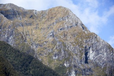 Fiordland Ulusal Parkı 'ndaki (Yeni Zelanda) dik kayalık bir dağın manzarası).