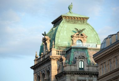 Viyana 'nın eski kentinde tarihi binanın çatısı ve dış manzarası (Avusturya).