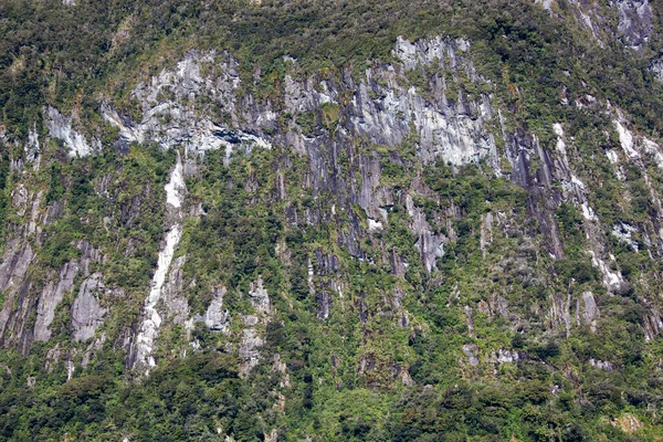Vista Abstracta Lado Rocoso Empinado Una Montaña Cubierta Vegetación Parque — Foto de Stock