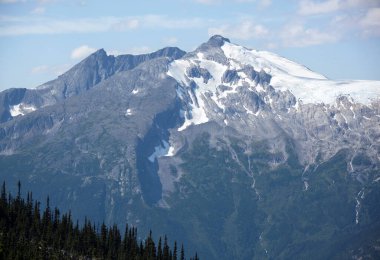 Skagway kasabasından (Alaska) görülen yüksek karlı bir dağın yaz manzarası).