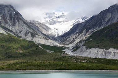 Buzul Körfezi Ulusal Parkı 'nda (Alaska) yaz başında karlı bir dağla yeşil bir vadinin manzarası).