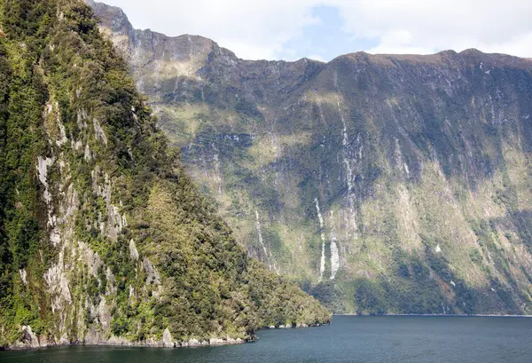 Fiordland国家公园森林覆盖的陡峭山区海岸线景观 新西兰 — 图库照片