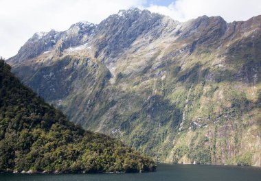 Fiordland Ulusal Parkı 'ndaki (Yeni Zelanda) orman ve dik dağlarla kaplı yeşil kıyı şeridinin manzarası).