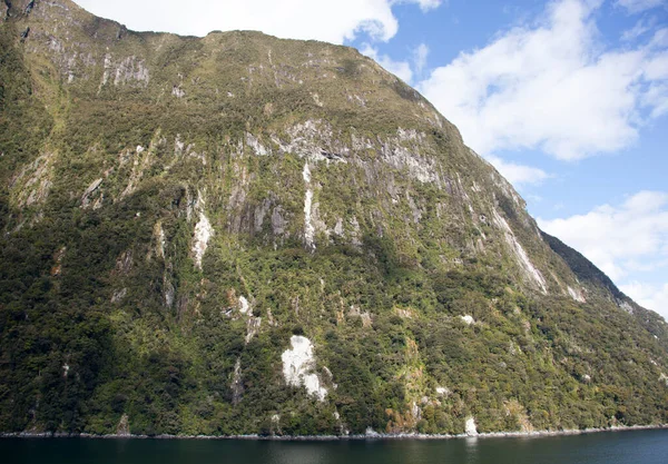 Fiordland国家公园树木覆盖的陡峭的山地海岸景观 新西兰 — 图库照片