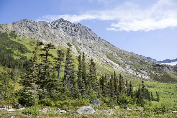 Kuzey Dewey Gölü yakınlarındaki yeşil dağlık vadinin yaz manzarası deniz seviyesinden 900 metre yüksekliktedir (Skagway, Alaska).