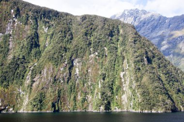 Fiordland Ulusal Parkı 'ndaki (Yeni Zelanda) Milford Sound' un dik yüksek dağlarının manzarası). 