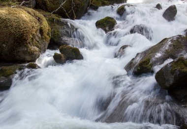 Skagway kasabasının (Alaska) dışında sığ ve hızlı bir dere akıntısının yakın görüntüsü).