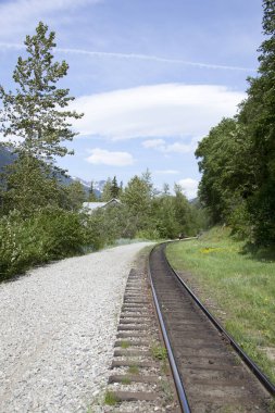 Skagway 'de ilkbahar manzarası, Alaska' da altına hücum kasabası..